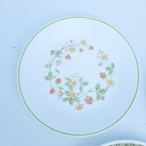 🔥Corelle Strawbery Sundae Green Floral Vintage Dinner Plate